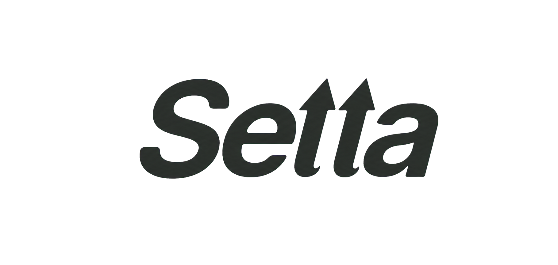 Grupo Setta